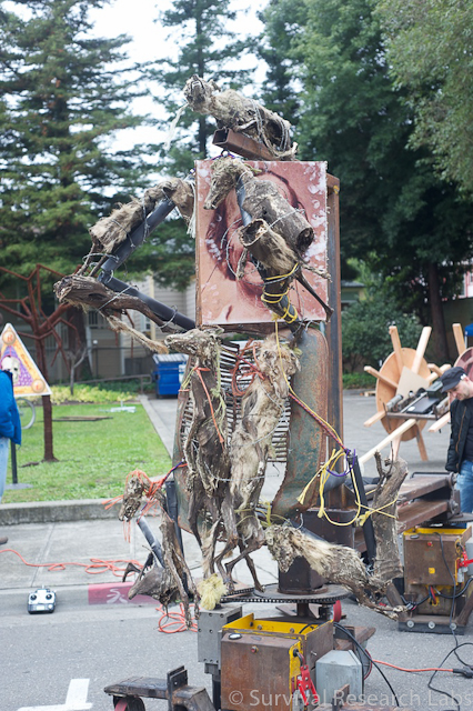 Coyote Ugly Man on Dual Mules