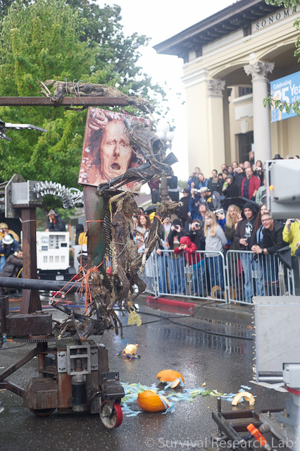 Coyotes surround Duchenne electro-stim on the Dual Mules